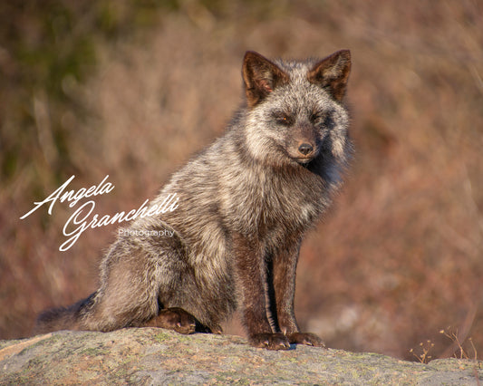 11x14 mat size - 8x10 print size- Matted