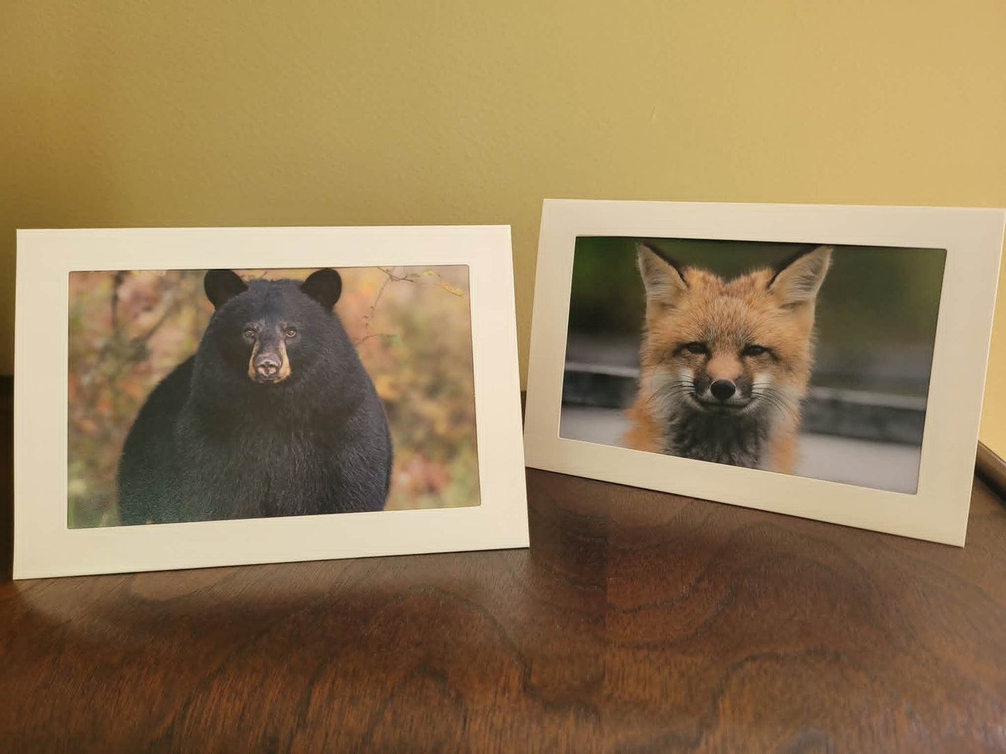 Wildlife photo card