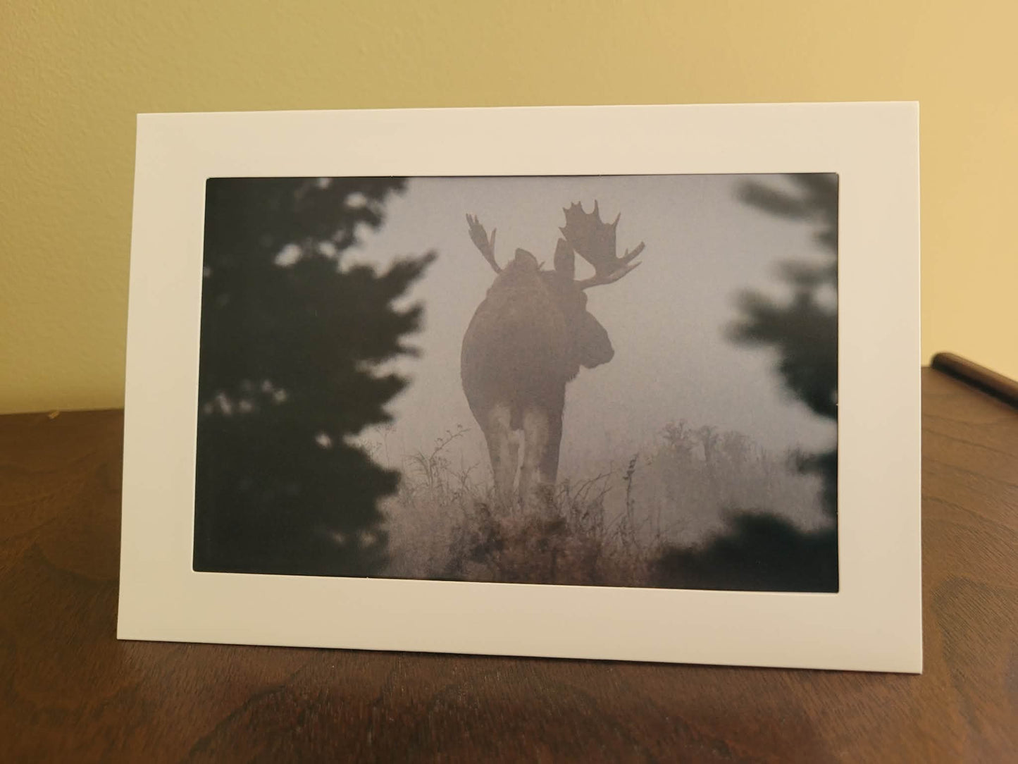 Wildlife photo card