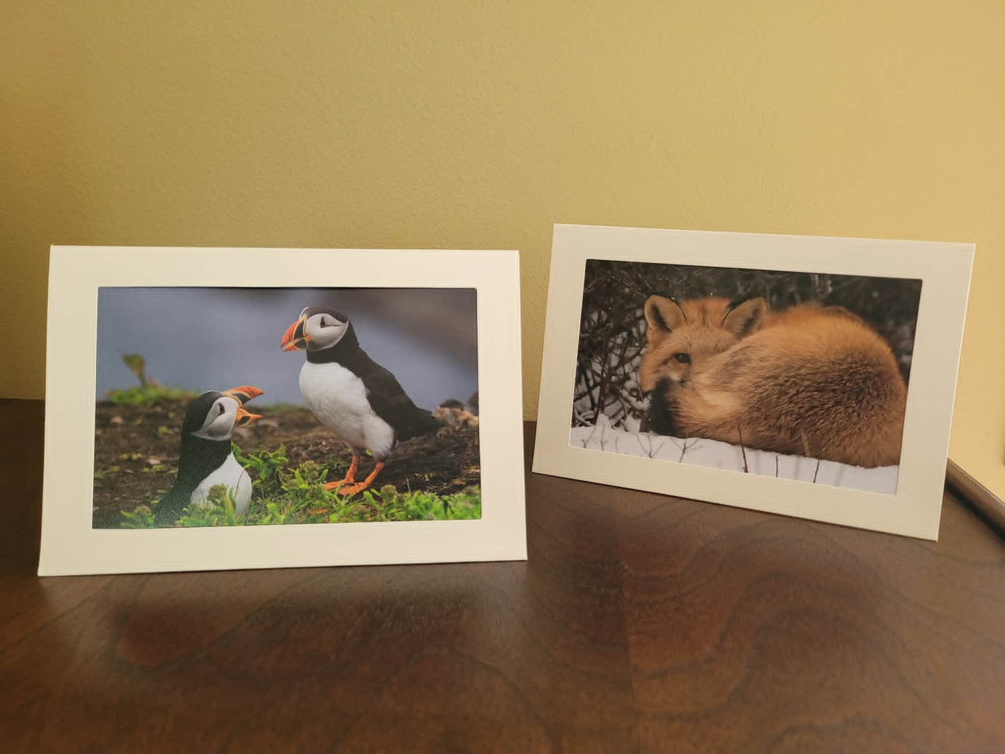 Wildlife photo card