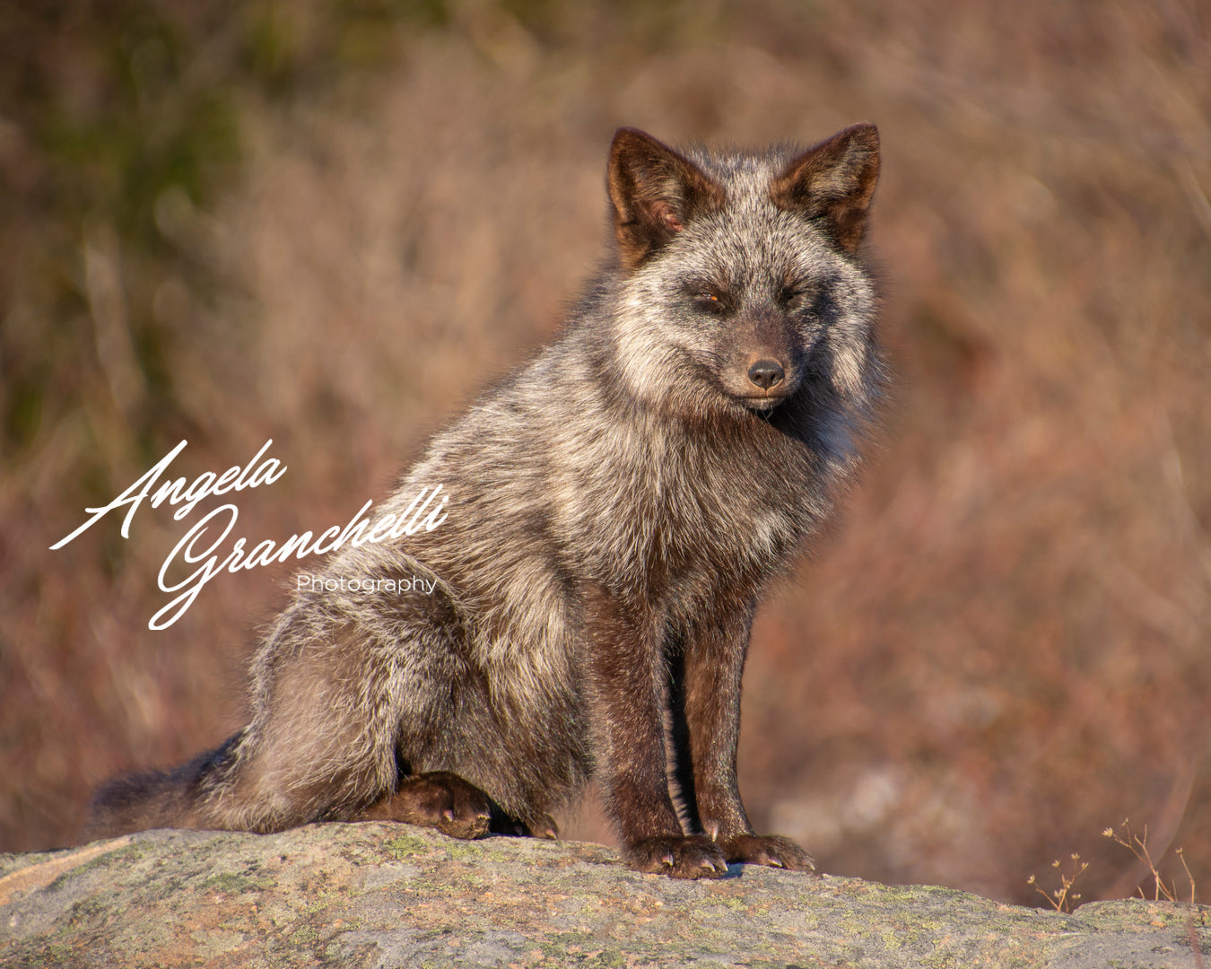 11x14 mat size - 8x10 print size- Matted